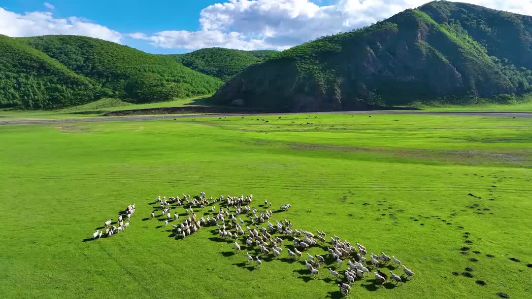视频·石榴花开③|踏歌而行寻三姐