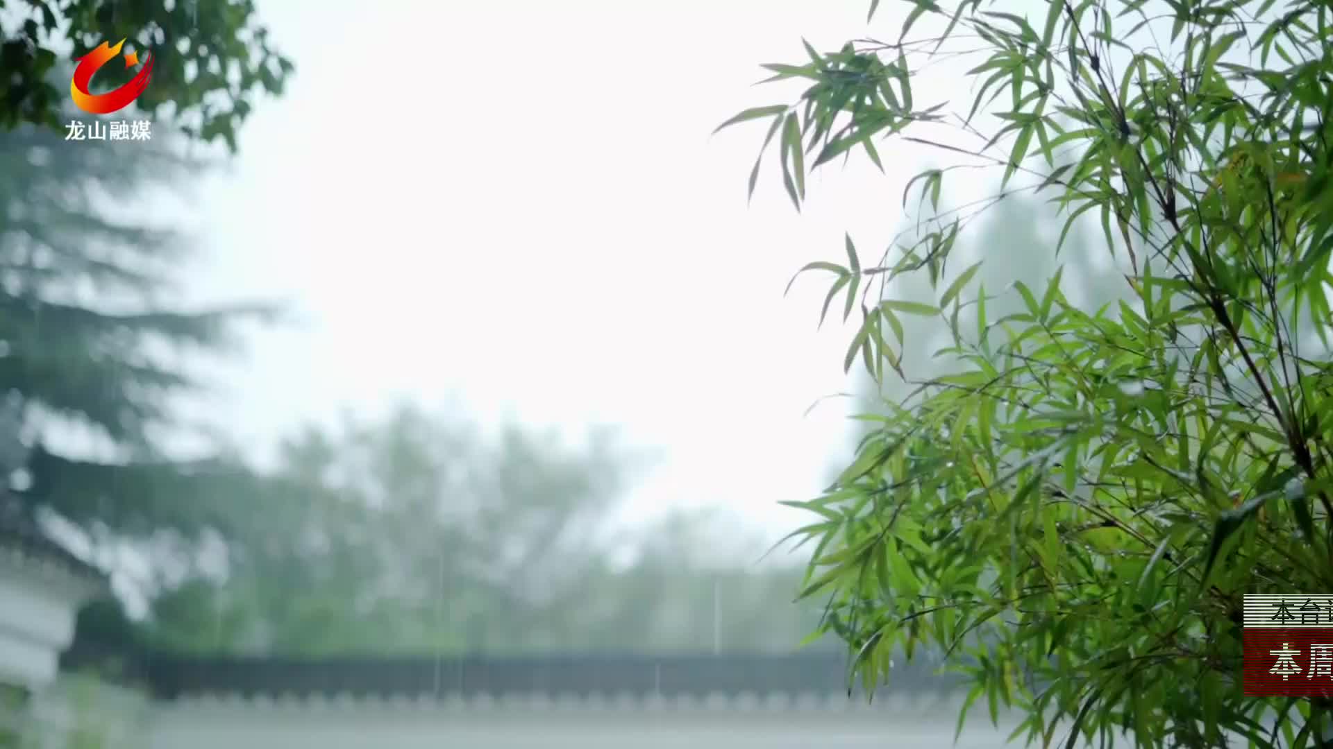 【龙山新闻】本周我县将迎来降温降雨天气