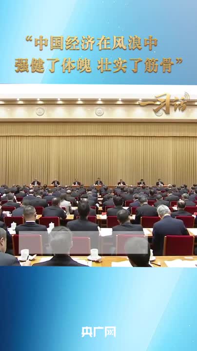 一习话丨“中国经济在风浪中强健了体魄、壮实了筋骨”