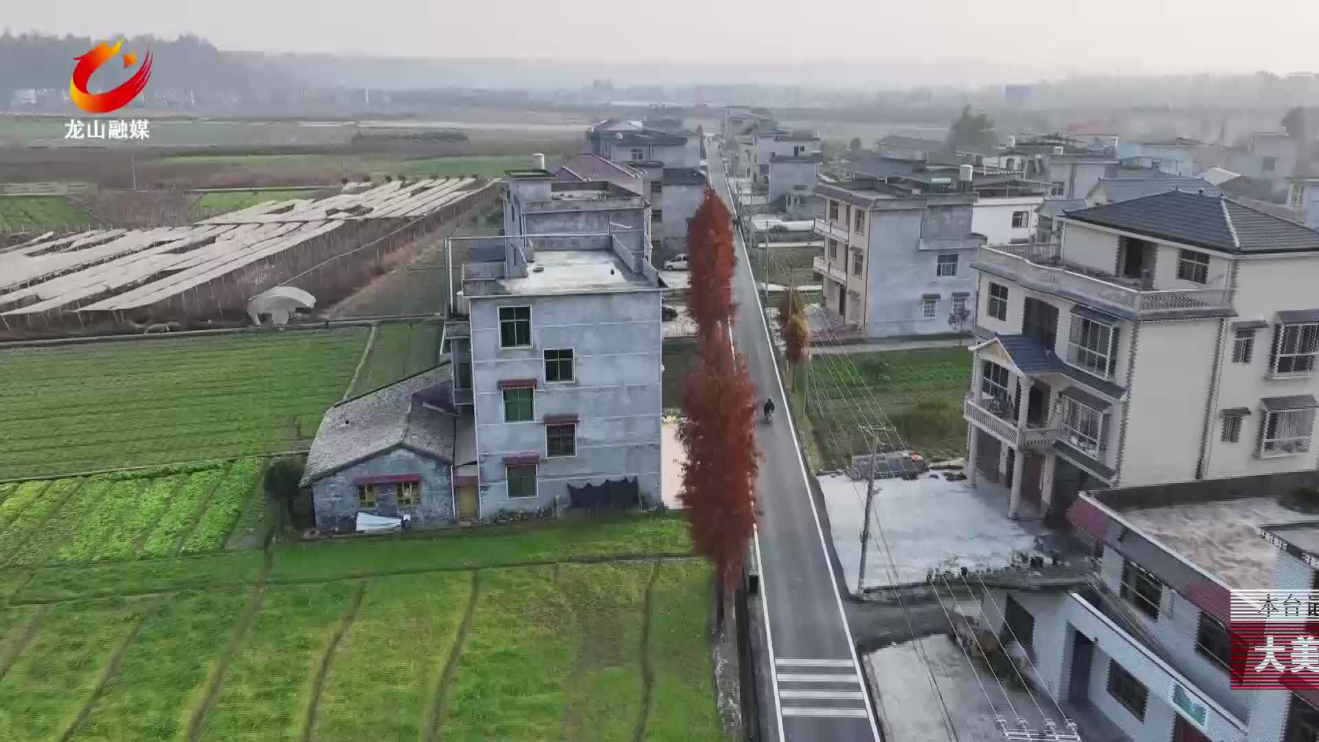【龙山新闻】大美龙山：橙红水杉扮靓村寨