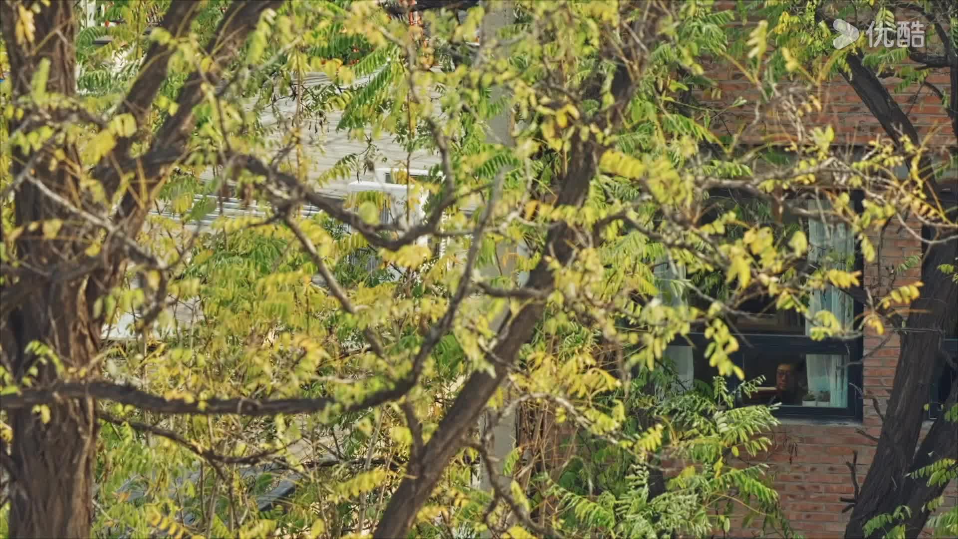 《万物经济学》第7期 逃离城市后的乌托邦