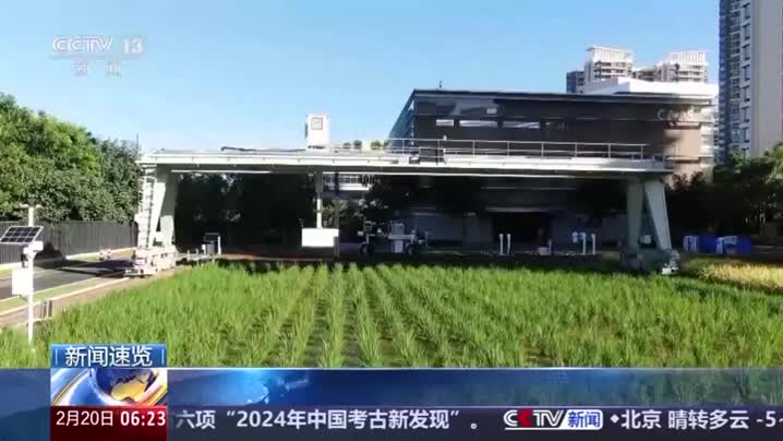 建设农业强国如何走好1年、3年、5年、10年这几步