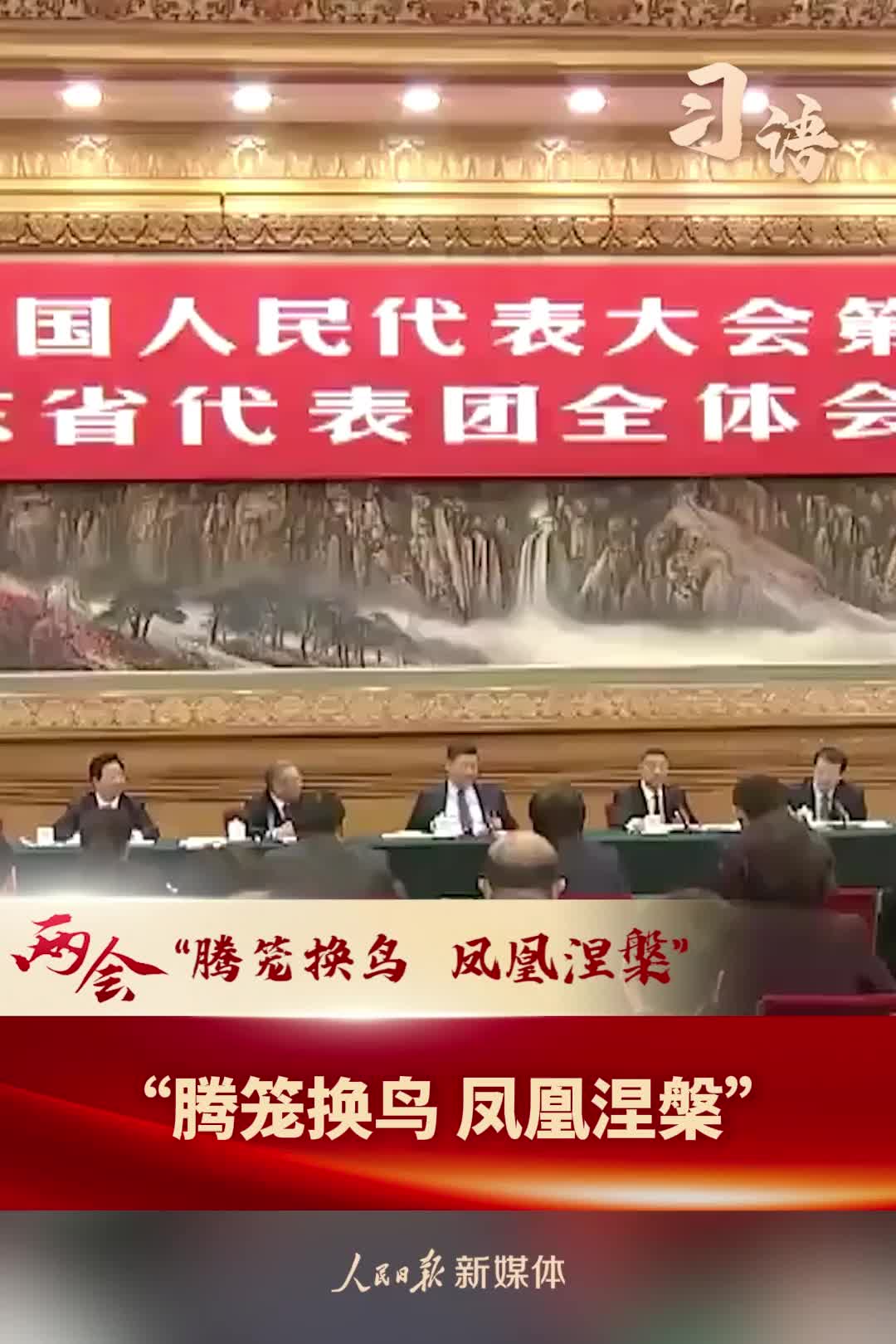 习语丨习近平总书记的两会之“喻”