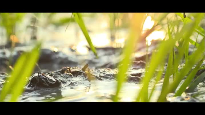 跟着院士去种地｜吃健康米饭、过“火辣”日子