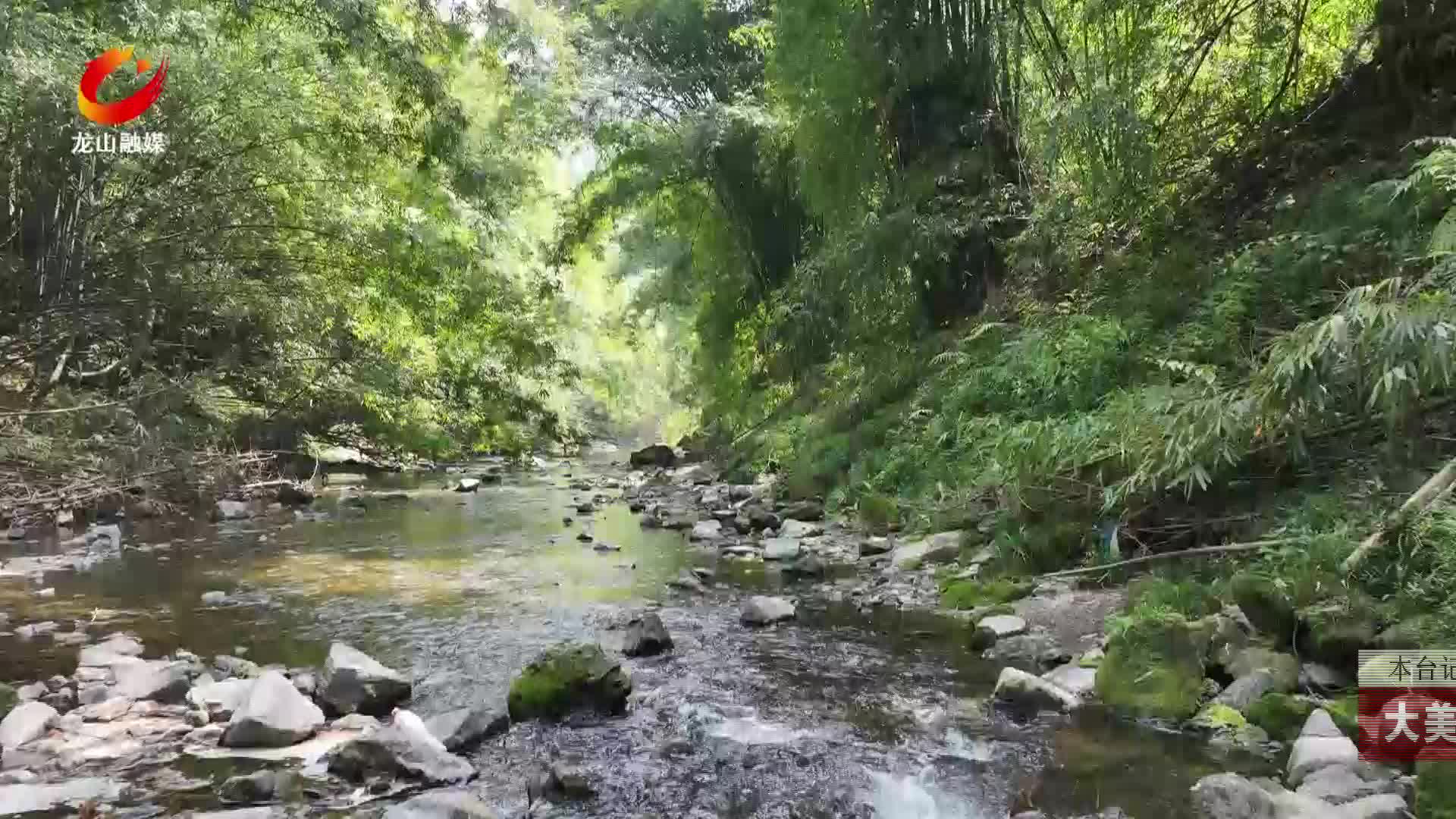【龙山新闻】大美龙山：峡谷春色惹人醉