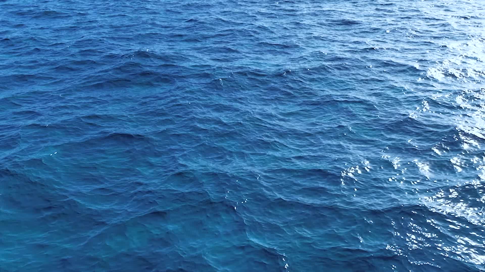 “最美新时代革命军人”视频公益广告《本色》