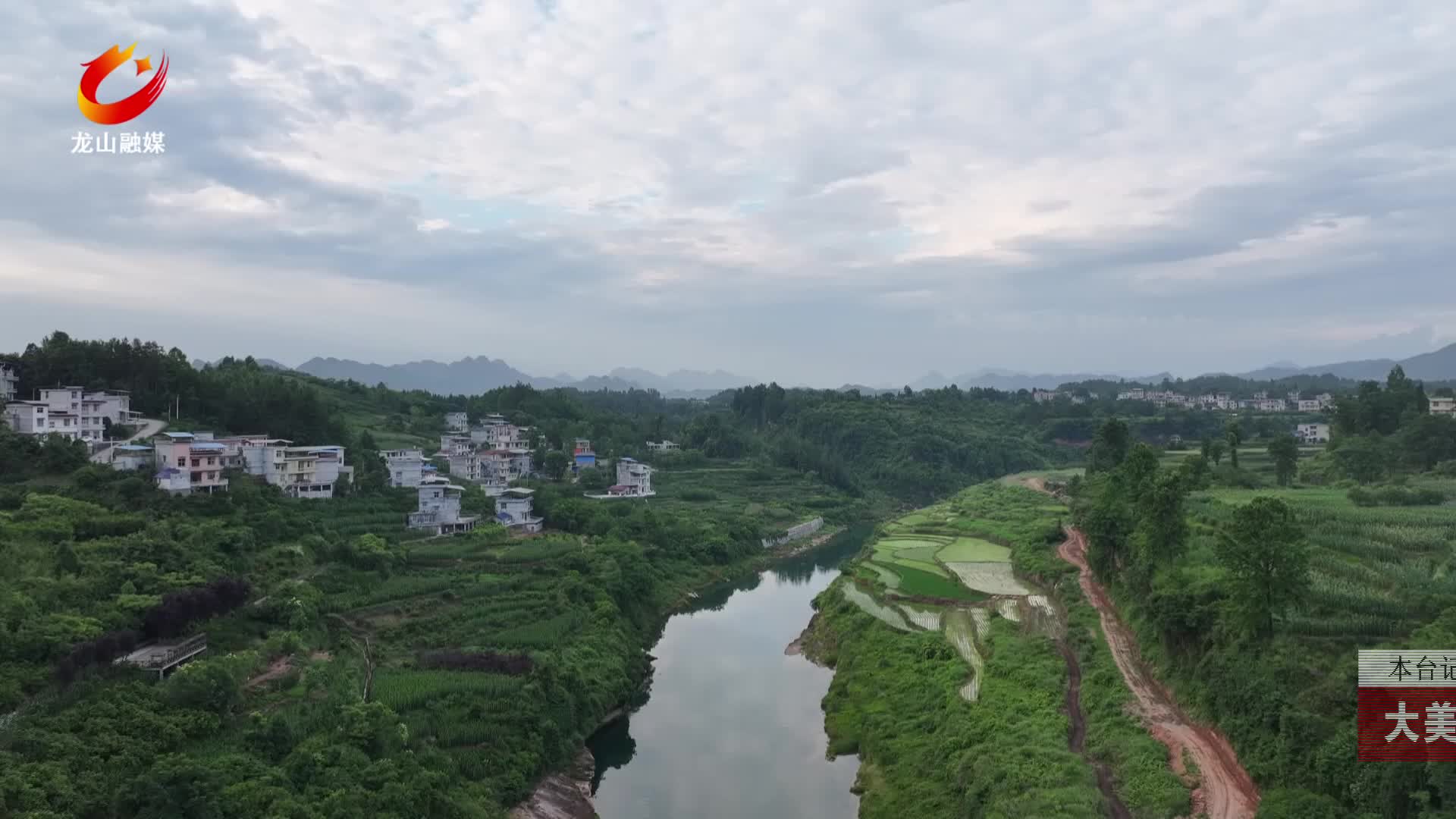 【龙山新闻】大美龙山：葛花绽放秋景如画