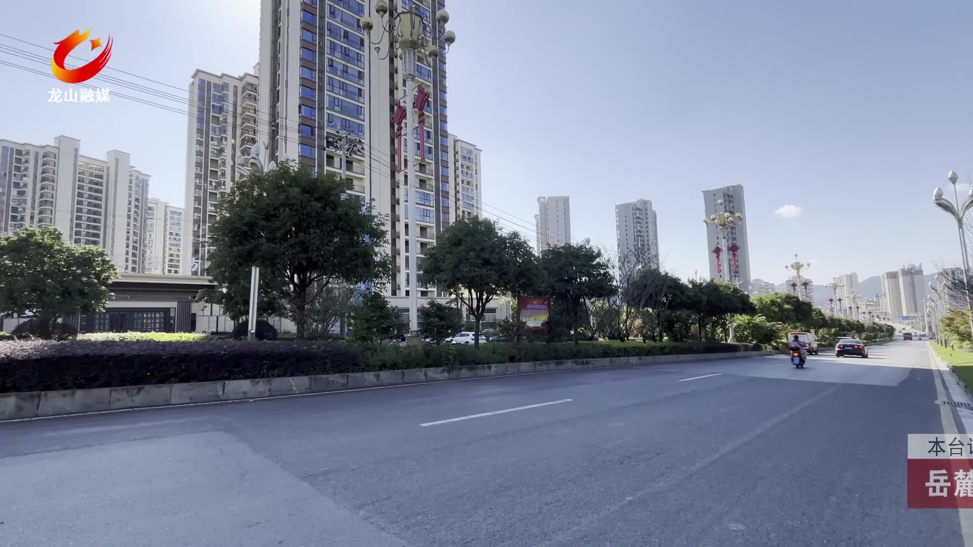 【龙山新闻】岳麓大道桂花盛放 花香醉人心