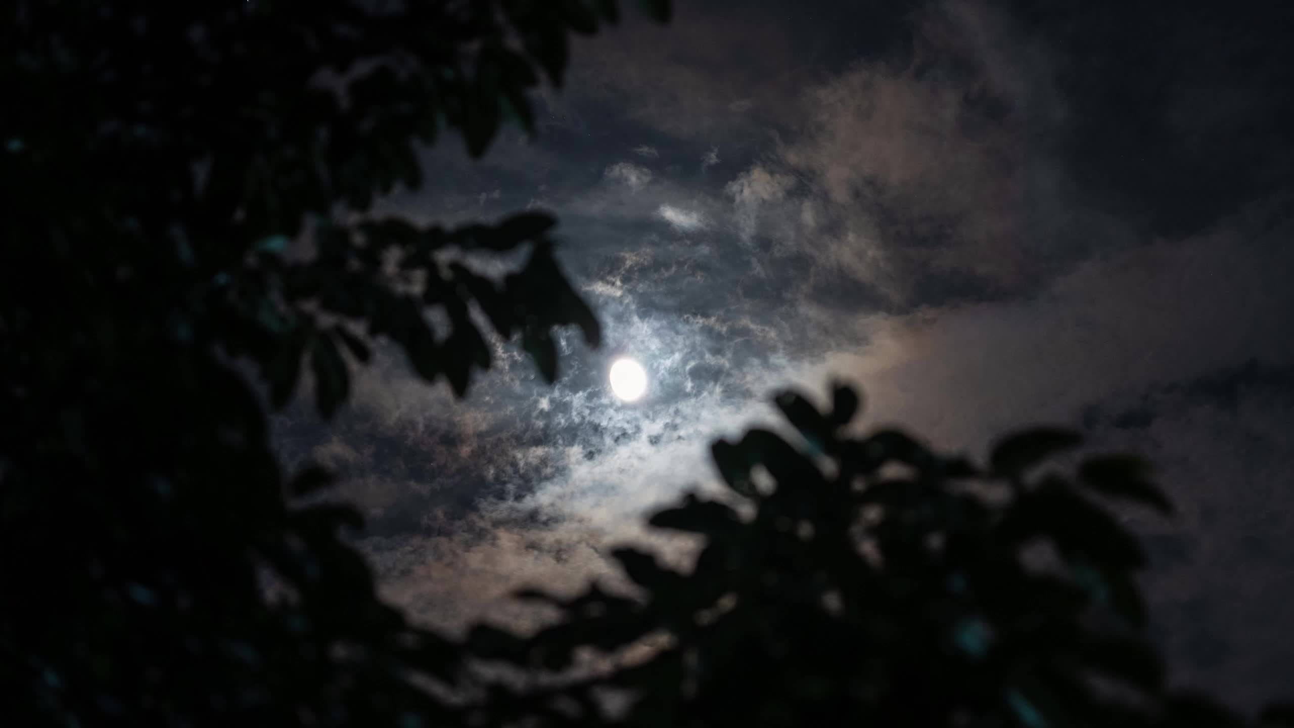 消防安全微视频