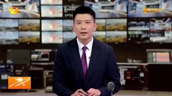 沈晓明参观全国粮油和大豆产业博览会、中部农博会