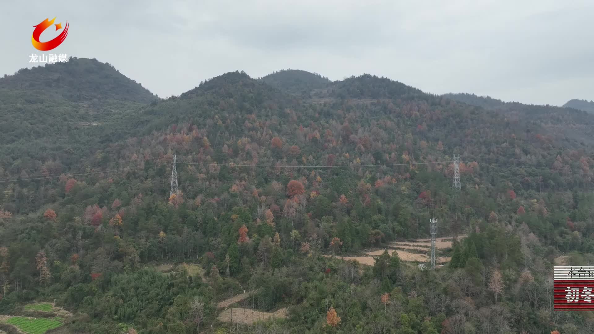 【龙山新闻】初冬美景：山林斑斓美如画