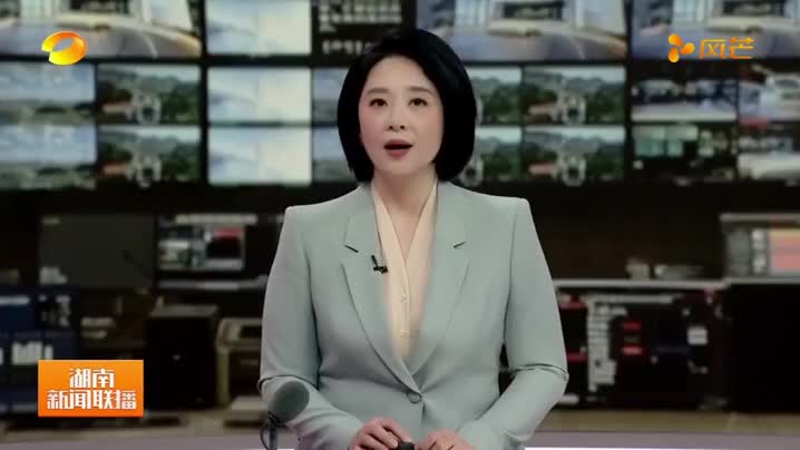 省政府与特变电工举行工作会谈 毛伟明张新出席