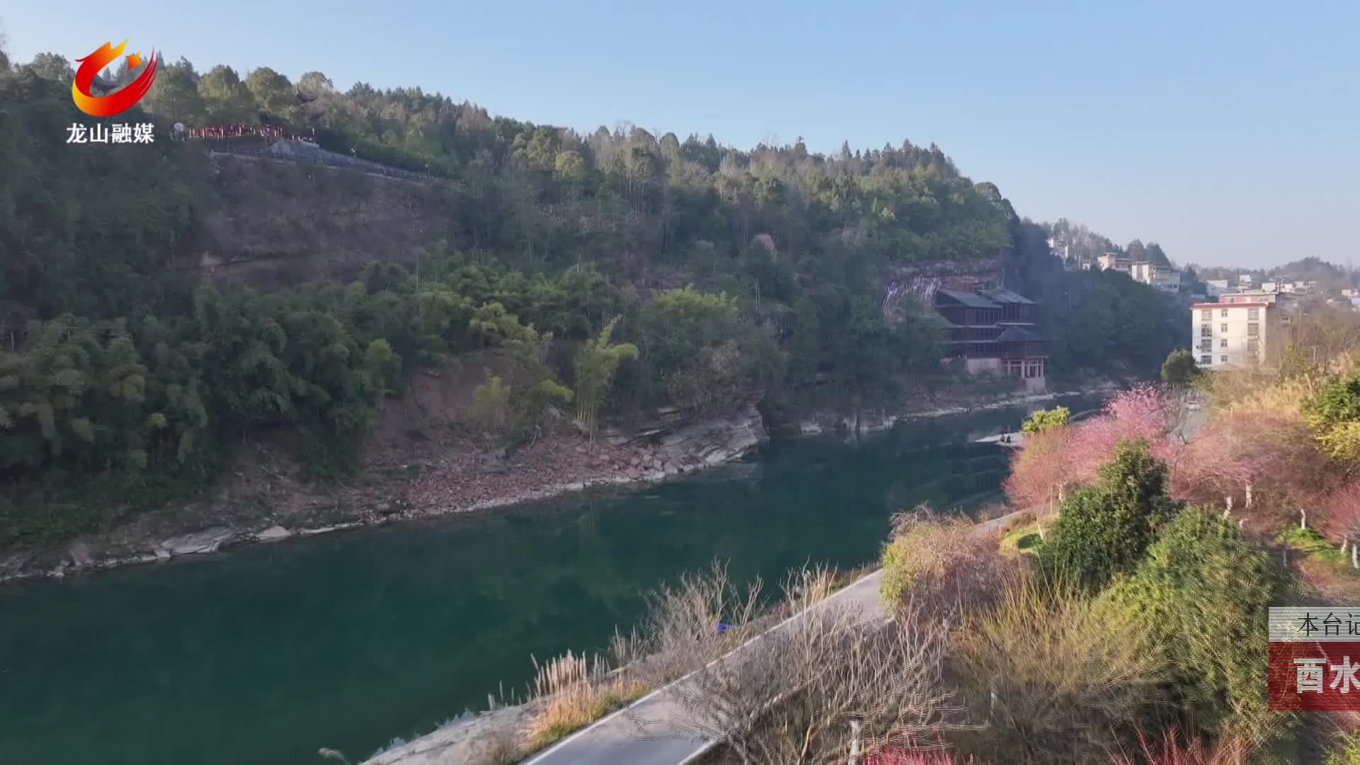 【龙山新闻】酉水河畔 “梅”景如画