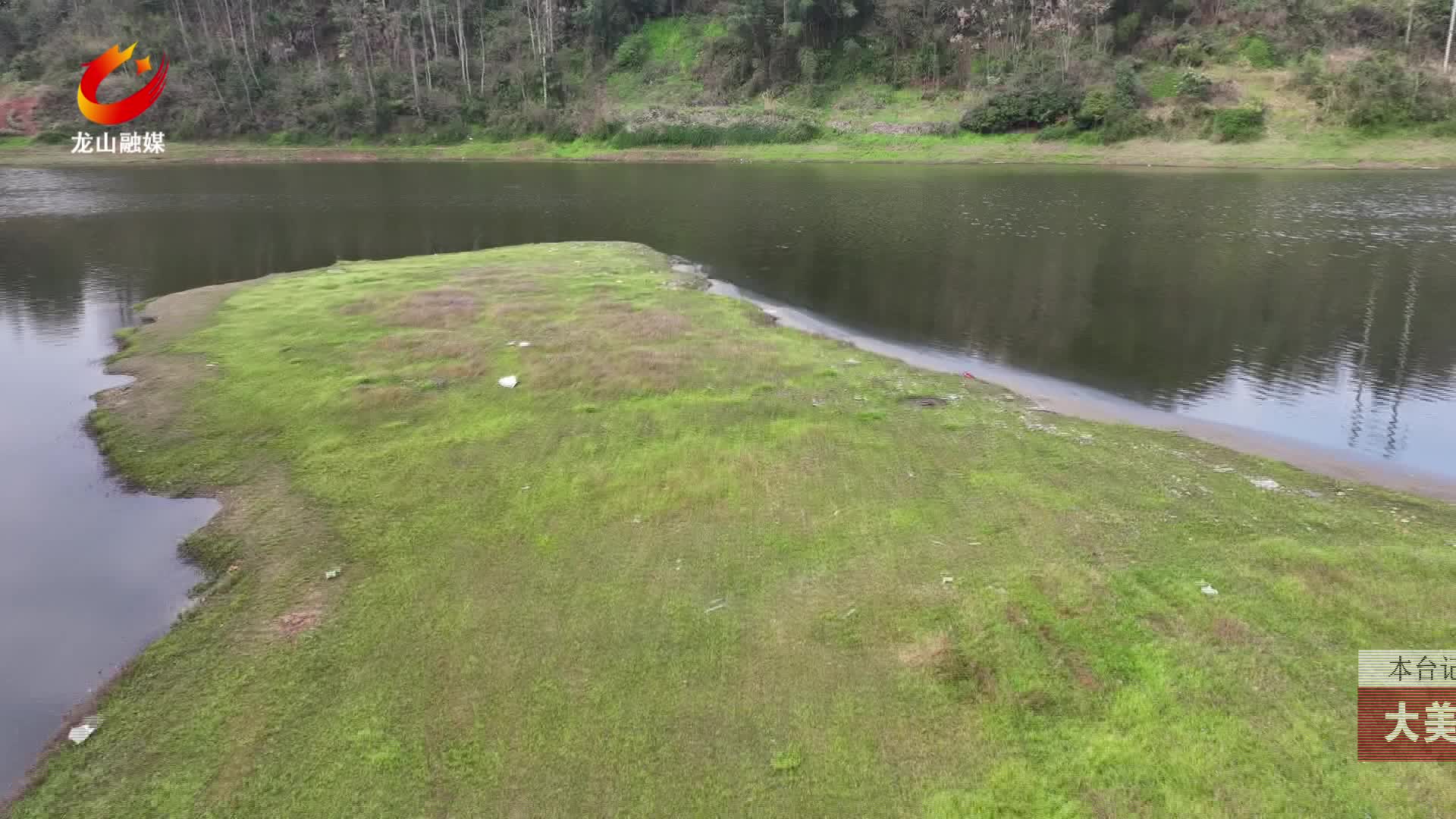 【龙山新闻】大美龙山：紫云英绽放