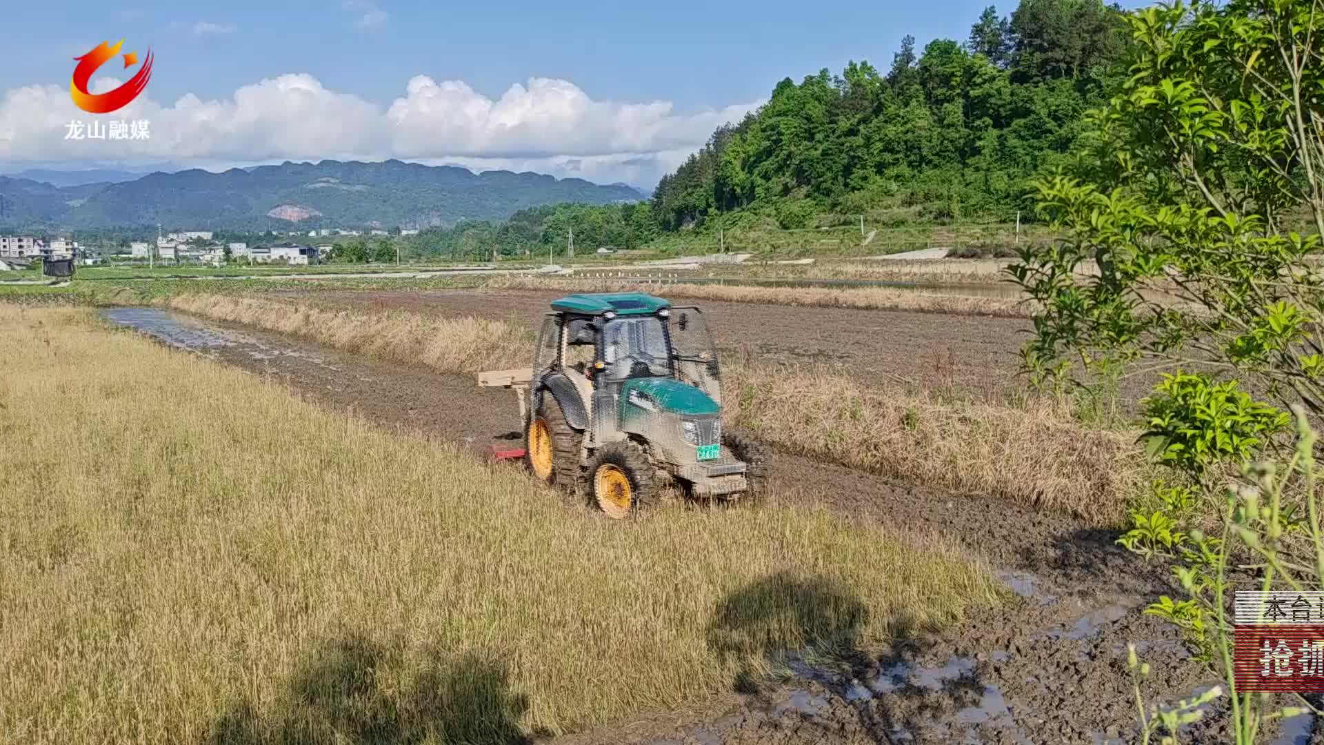 【龙山新闻】抢抓农时忙翻耕 机械助力种好中稻