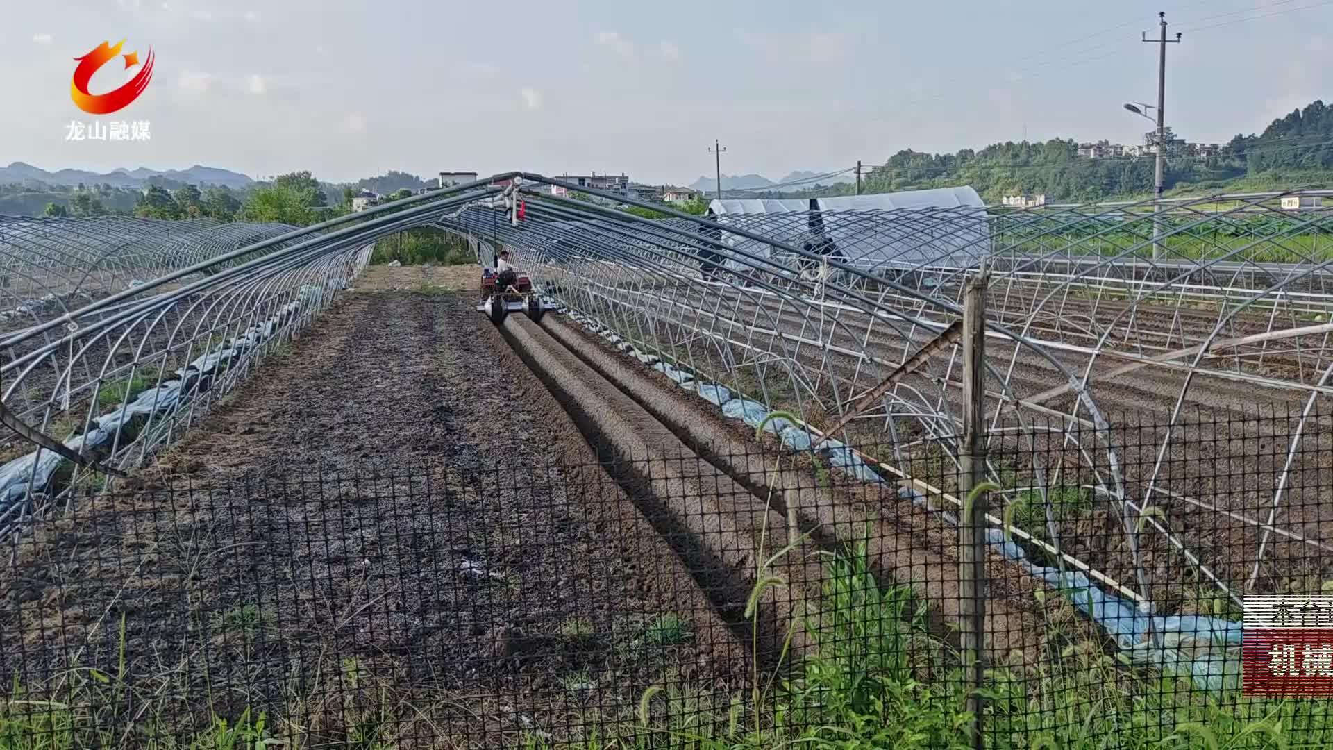 【龙山新闻】机械起垄提效率 草莓备耕按下“加速键”