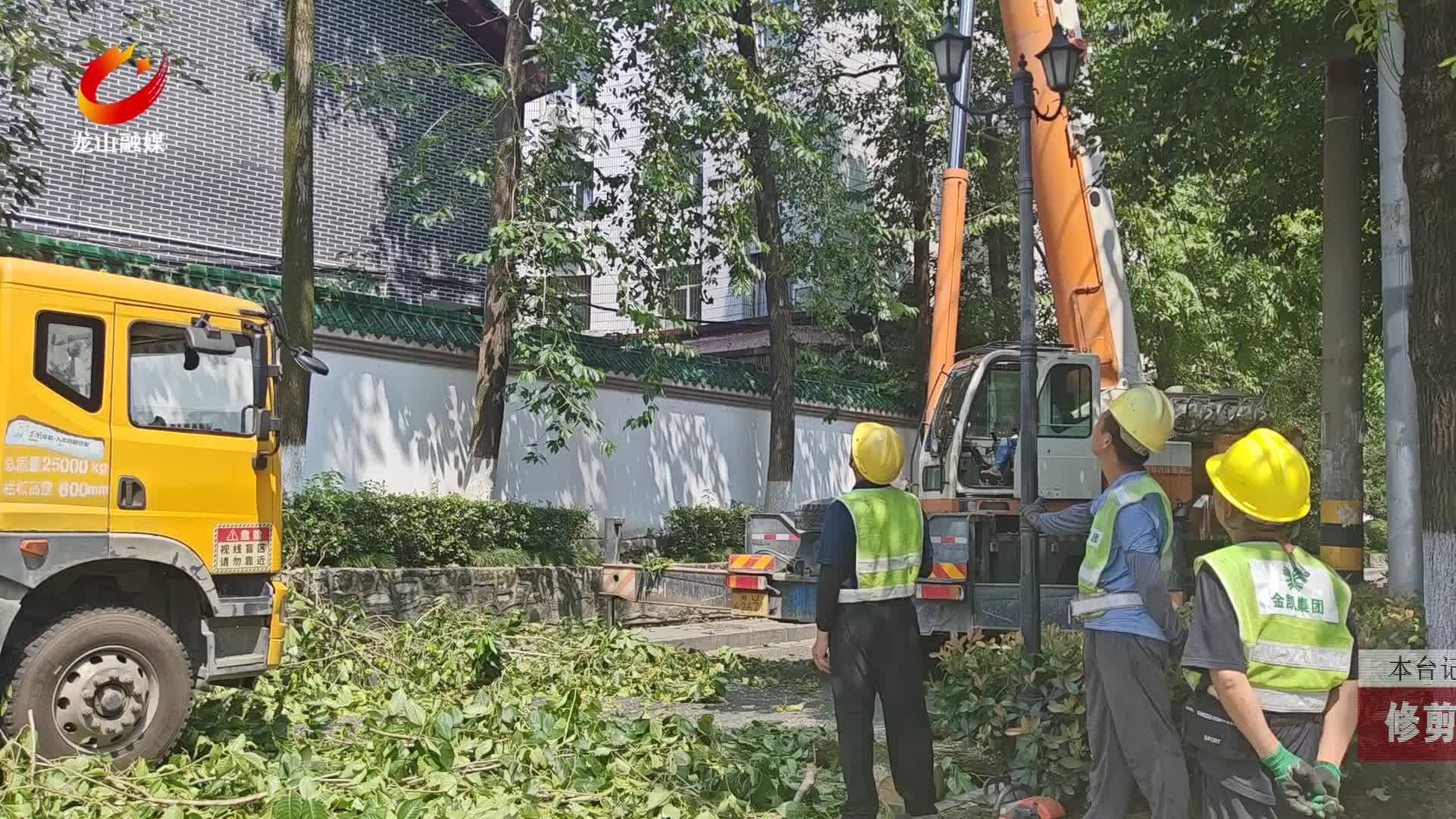 【龙山新闻】修剪除隐患护绿保通行
