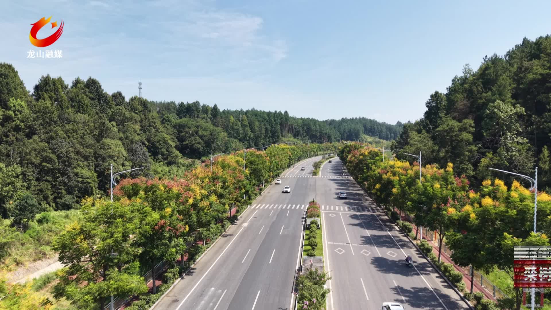 【龙山新闻】栾树红秋渐浓